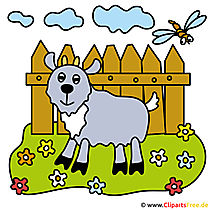 Bock Clipart Bild kostenlos