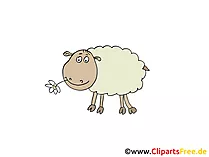 Clip Art Sheep