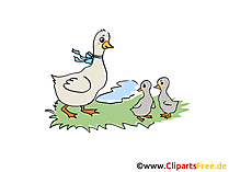 Clip Bilder Auf dem Bauernhof