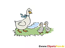 Clip Bilder Auf dem Bauernhof