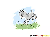 Clipart Bild Bock