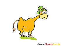 Cow Clip Art, Comic, Cartoon free