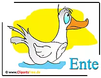 Ente Cartoon-Clipart free