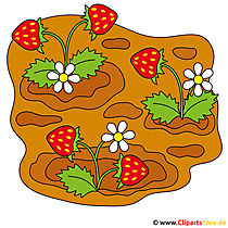 Erdbeeren Cartoon Clipart kostenlos