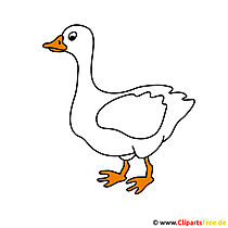 Gans Cartoon Clipart