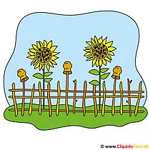 Garten Clipart Bild kostenlos