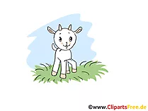 Geisslein Bild, Clipart, Cartoon, Grafik