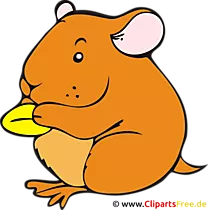Hamster Clipart, Bild, Cartoon kostenlos