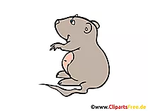 Hamster Cliparts free