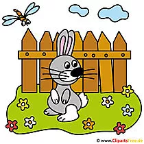 Hase Clipart Bauernhof kostenlos