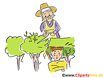 Hecke schneiden Karikatur, Cartoon witzig