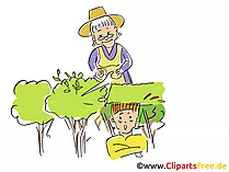 Hecke schneiden Karikatur, Cartoon witzig