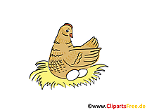 Hehne Bild, Clipart, Cartoon, Grafik