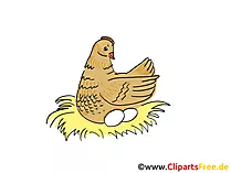 Hehne Bild, Clipart, Cartoon, Grafik