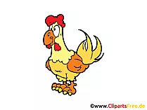 Hen Bild, Cartoon, Comic, Clipart, Grafik gratis