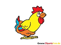 Huhn Bild, Cartoon, Comic, Clipart, Grafik gratis
