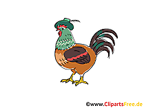 Huhn Clipart, Bild, Cartoon gratis