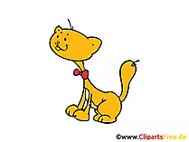 Kater Bild, Illustration, Clipart, Comic