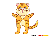 Kater Clipart, Grafik, Illustration, Bild gratis