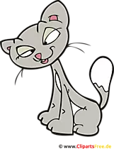 Katze Clipart, Bild, Illustration, Cartoon