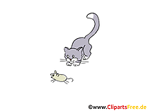 Katze und Maus Bild, Cartoon, Clipart