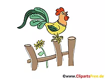 Kikeriki Bild, Clipart, Cartoon, Grafik