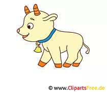 Kitz Bild, Clip Art, Image, Grafik, Illustration gratis
