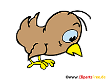 Küken Bild, Clipart, Illustration, Comic, Cartoon gratis