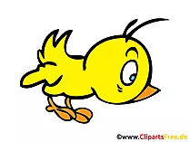 Küken Clipart, Bild, Comic, Cartoon gratis