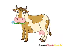 Kuh Clipart, Grafik, Illustration, Bild gratis