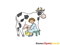 Kuh Melken Clipart Bilder Bauernhof