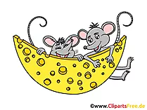 Mäuse mit Käse Clipart, Grafik, Illustration, Bild gratis