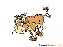 Ochse Bild, Cartoon, Comic, Clipart, Grafik gratis