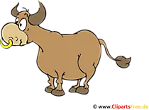 Ochse Bild, Clipart, Illustration, Cartoon