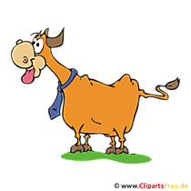 Ochse Clipart, Bild, Cartoon, Grafik, Illustration