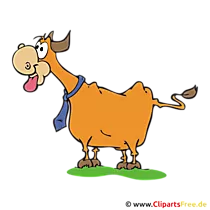 Ochse Clipart, Bild, Cartoon, Grafik, Illustration