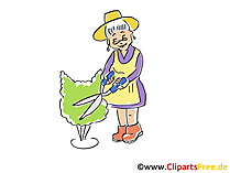 Oma schneidet Hecke Cartoon, Clipart, Bild, Illustration