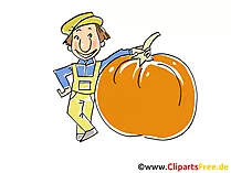 Riesiger Kürbis, Herbsternte Cartoon, Clipart, Bild, Illustration