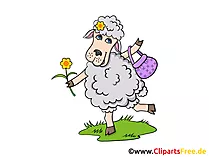 Romantisches Schaf Clipart, Grafik, Illustration, Bild gratis