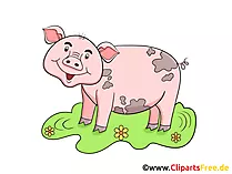 Sau Clipart, Grafik, Illustration, Bild gratis