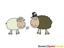 Schäfchen Cliparts, Bilder, Cartoons
