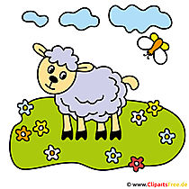 Schaf auf der Wiese Cartoon Bild kostenlos