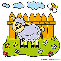 Schaf Cartoon gratis