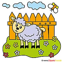 Schaf Cartoon gratis