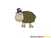 Schafe Zeichnung, Cartoon, Grafik