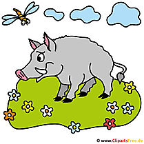 Schwein Bild Clipart kostenlos