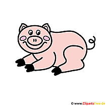 Schwein Clipart - Bilder Tiere Bauernhof