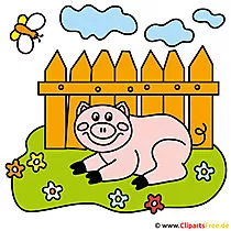 Schweinchen Cartoon Clipart - Bilder vom Bauernhof