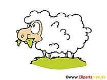 Sheep Clip Art, Image, Pic free