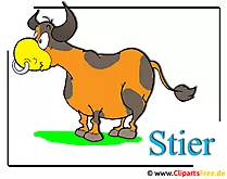 Stier Cartoon Clipart-Bild free